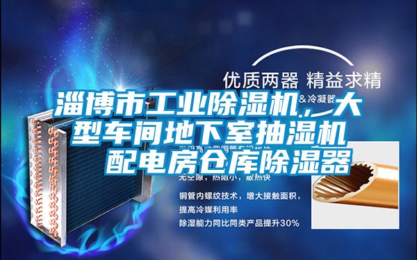 淄博市工業(yè)除濕機，大型車間地下室抽濕機  配電房倉庫除濕器
