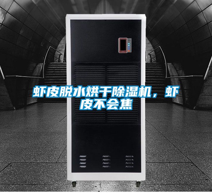 蝦皮脫水烘干除濕機(jī)，蝦皮不會焦