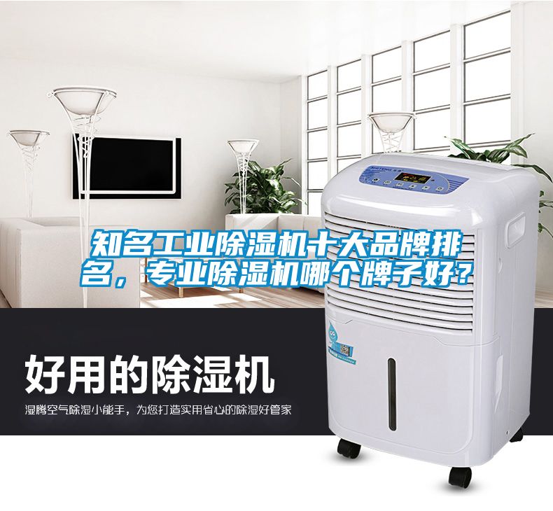 知名工業除濕機十大品牌排名，專業除濕機哪個牌子好？