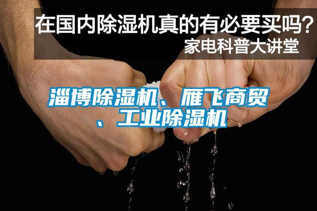 淄博除濕機、雁飛商貿、工業(yè)除濕機