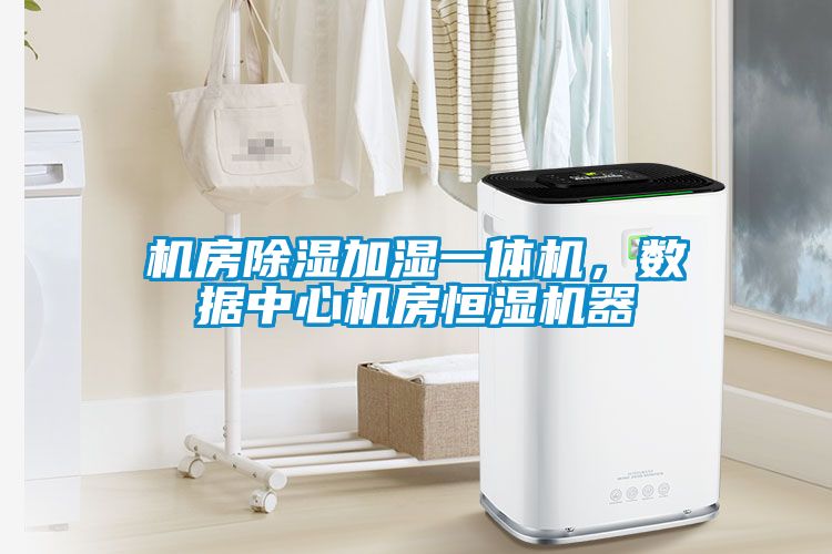 機房除濕加濕一體機，數據中心機房恒濕機器