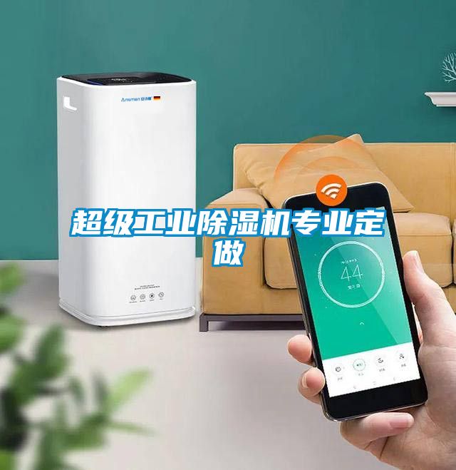 超級工業(yè)除濕機(jī)專業(yè)定做