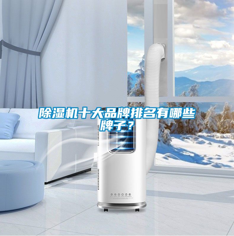 除濕機(jī)十大品牌排名有哪些牌子？