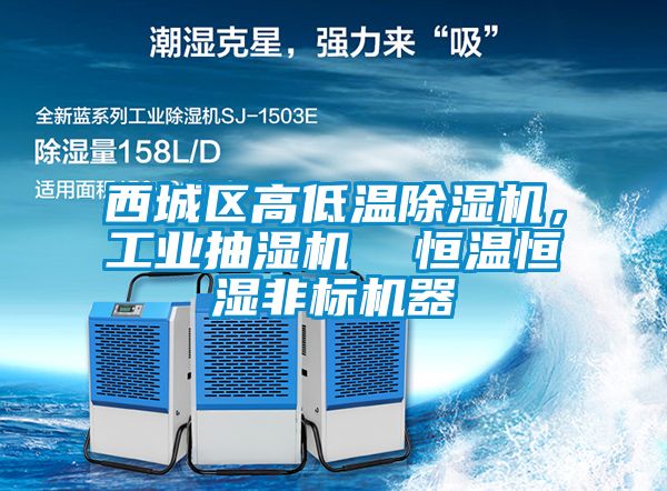 西城區高低溫除濕機，工業抽濕機  恒溫恒濕非標機器