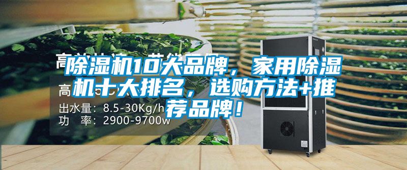 除濕機10大品牌，家用除濕機十大排名，選購方法+推薦品牌！