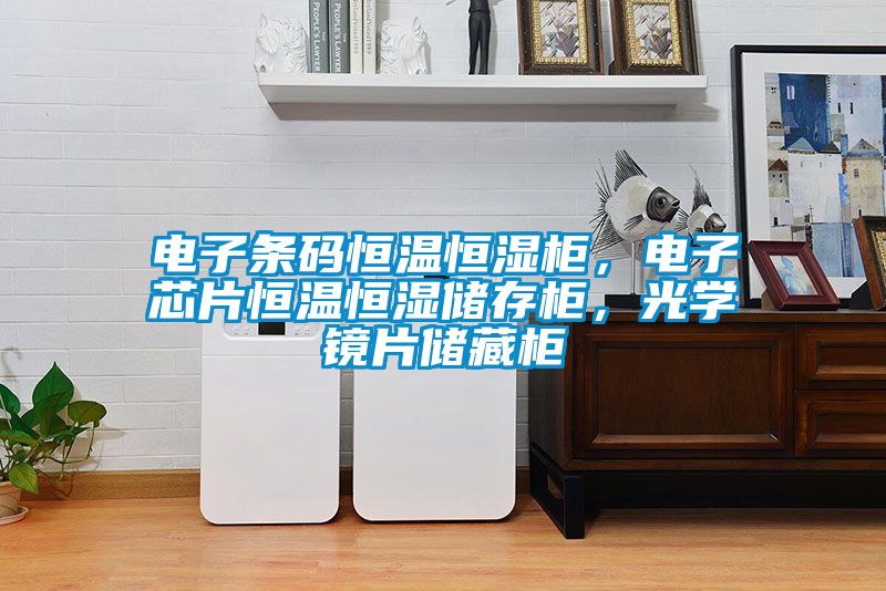 電子條碼恒溫恒濕柜，電子芯片恒溫恒濕儲存柜，光學(xué)鏡片儲藏柜