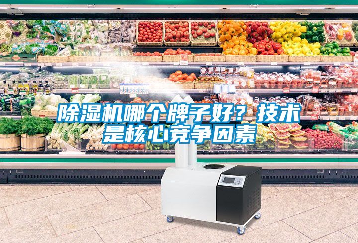 除濕機哪個牌子好？技術是核心競爭因素