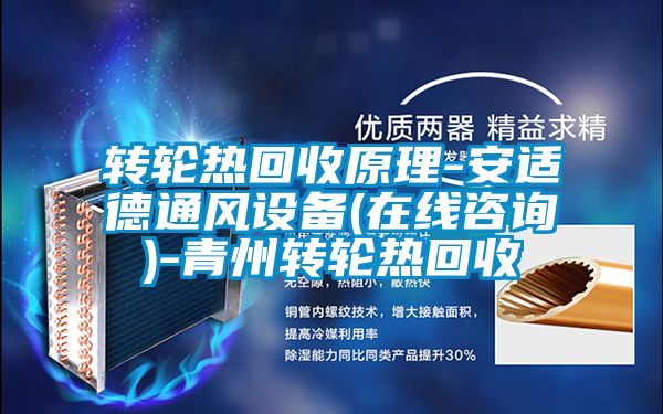 轉(zhuǎn)輪熱回收原理-安適德通風設備(在線咨詢)-青州轉(zhuǎn)輪熱回收