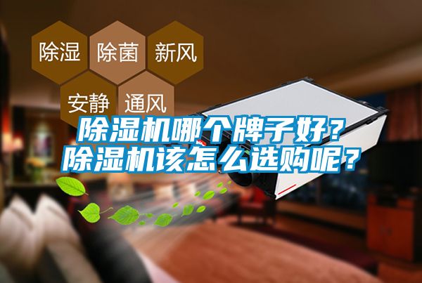 除濕機(jī)哪個(gè)牌子好？除濕機(jī)該怎么選購(gòu)呢？