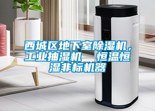 西城區地下室除濕機，工業抽濕機  恒溫恒濕非標機器