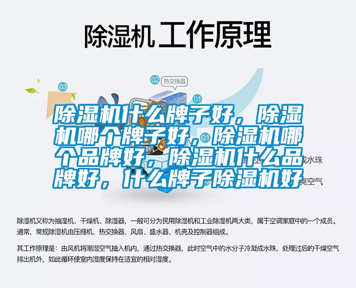 除濕機什么牌子好，除濕機哪個牌子好，除濕機哪個品牌好，除濕機什么品牌好，什么牌子除濕機好