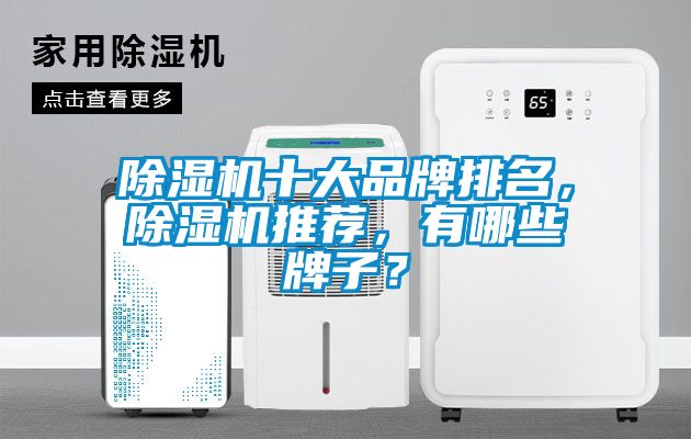 除濕機(jī)十大品牌排名，除濕機(jī)推薦，有哪些牌子？