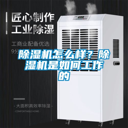 除濕機怎么樣？除濕機是如何工作的
