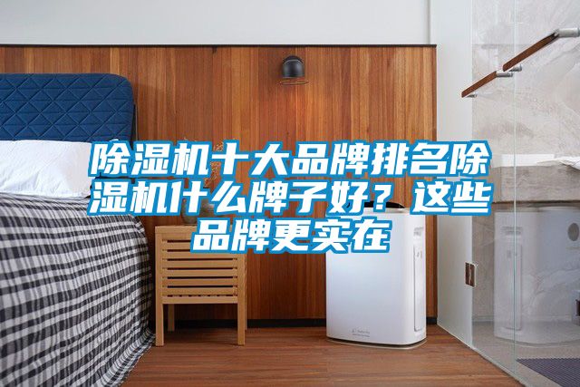 除濕機(jī)十大品牌排名除濕機(jī)什么牌子好？這些品牌更實(shí)在