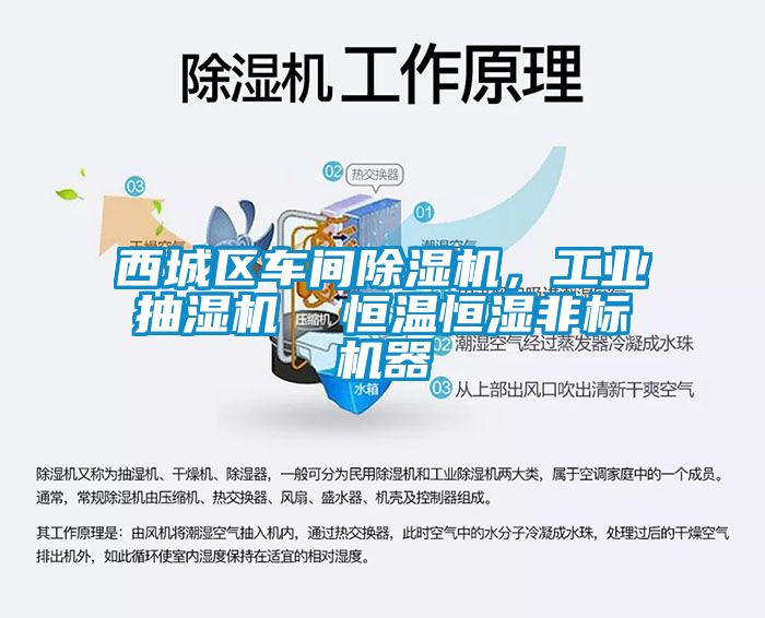 西城區車間除濕機，工業抽濕機  恒溫恒濕非標機器