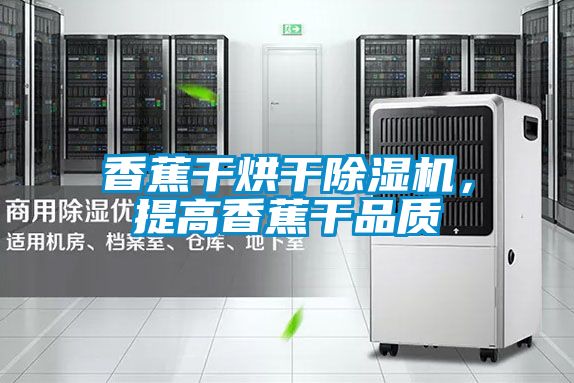 香蕉干烘干除濕機，提高香蕉干品質(zhì)