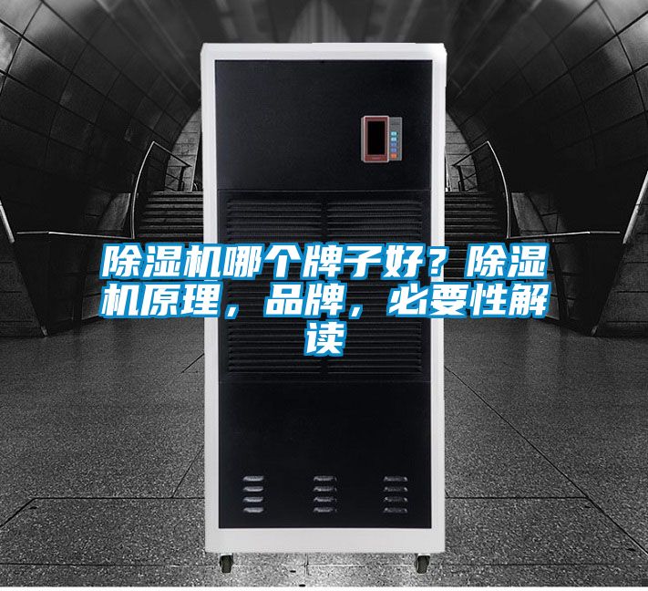 除濕機哪個牌子好？除濕機原理，品牌，必要性解讀