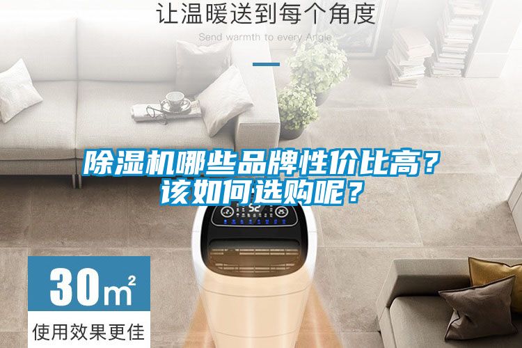 除濕機哪些品牌性價比高？該如何選購呢？