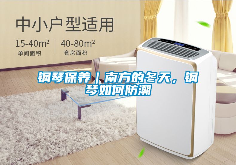 鋼琴保養｜南方的冬天，鋼琴如何防潮