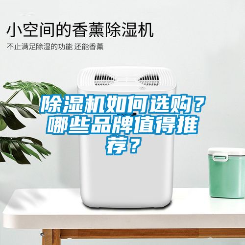除濕機如何選購？哪些品牌值得推薦？