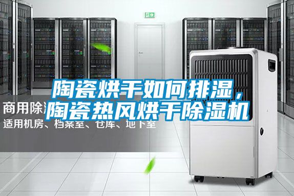 陶瓷烘干如何排濕，陶瓷熱風烘干除濕機