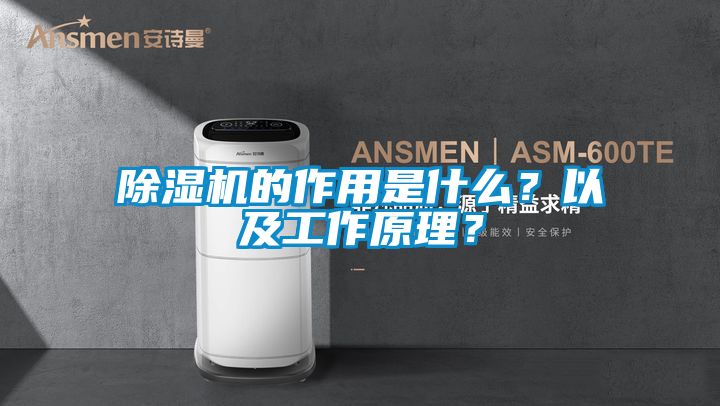 除濕機的作用是什么？以及工作原理？