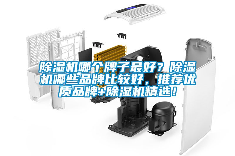 除濕機哪個牌子最好？除濕機哪些品牌比較好，推薦優質品牌+除濕機精選！