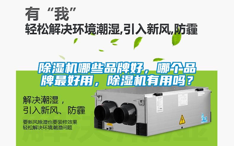 除濕機哪些品牌好，哪個品牌最好用，除濕機有用嗎？