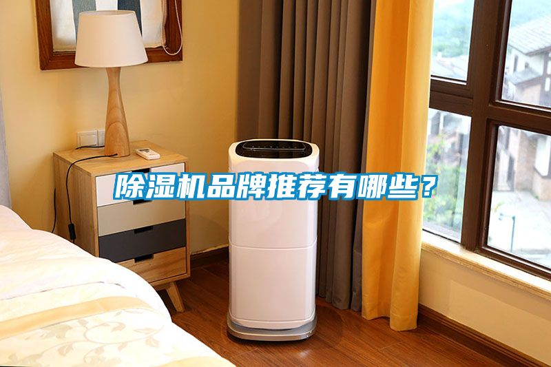 除濕機品牌推薦有哪些？