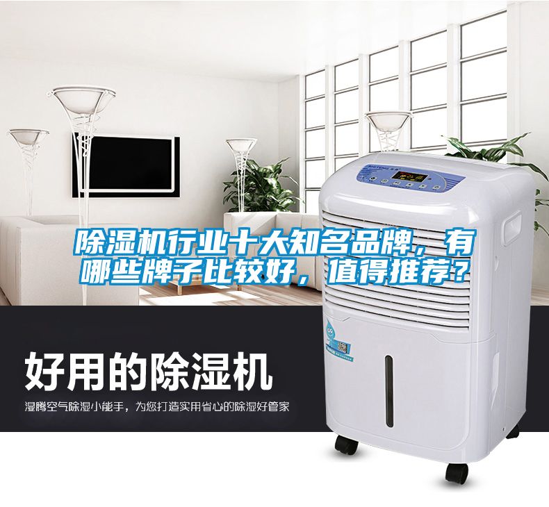 除濕機行業十大知名品牌，有哪些牌子比較好，值得推薦？