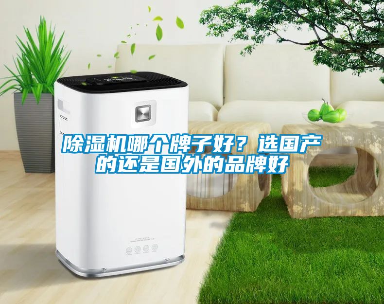 除濕機哪個牌子好？選國產的還是國外的品牌好