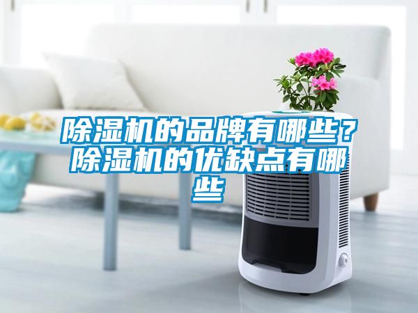 除濕機(jī)的品牌有哪些？除濕機(jī)的優(yōu)缺點有哪些