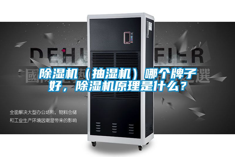 除濕機（抽濕機）哪個牌子好，除濕機原理是什么？
