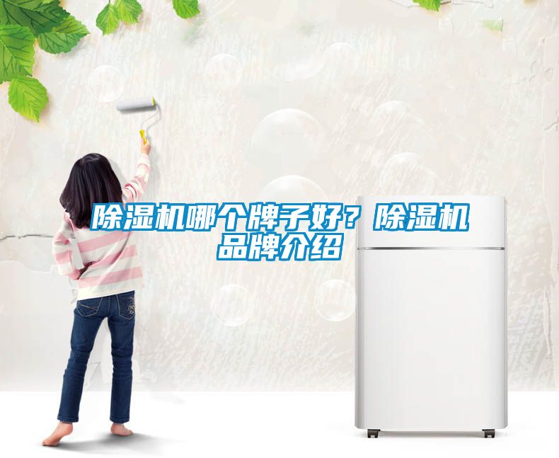除濕機哪個牌子好？除濕機品牌介紹