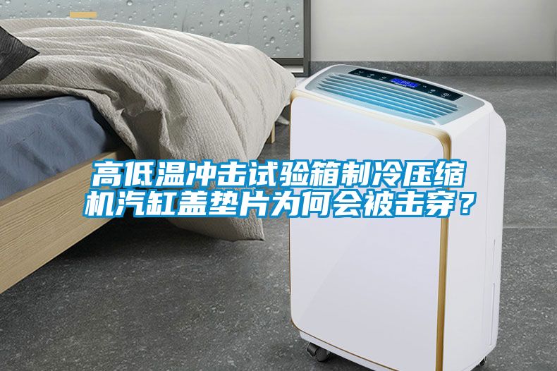 高低溫沖擊試驗箱制冷壓縮機汽缸蓋墊片為何會被擊穿？