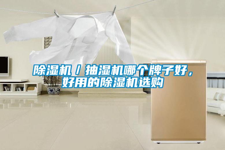 除濕機／抽濕機哪個牌子好，好用的除濕機選購