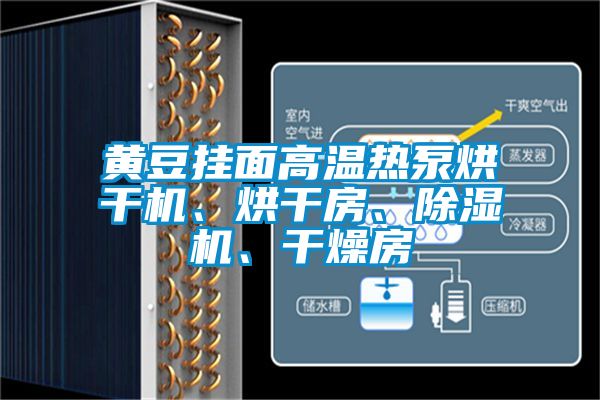 黃豆掛面高溫熱泵烘干機、烘干房、除濕機、干燥房