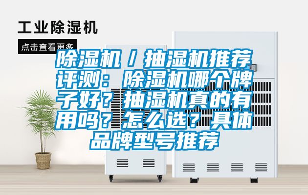 除濕機／抽濕機推薦評測：除濕機哪個牌子好？抽濕機真的有用嗎？怎么選？具體品牌型號推薦